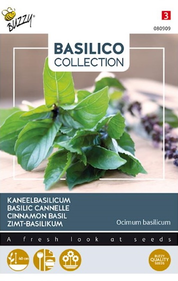 Basilikum Zimt (Ocimum basilicum) 900 Samen BU